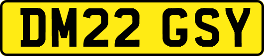 DM22GSY