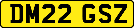 DM22GSZ