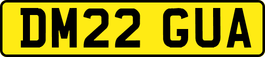 DM22GUA