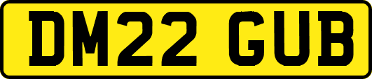 DM22GUB