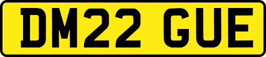 DM22GUE