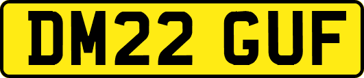 DM22GUF