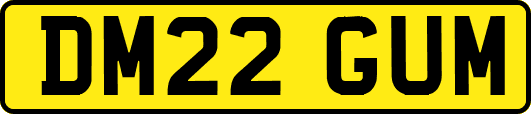 DM22GUM