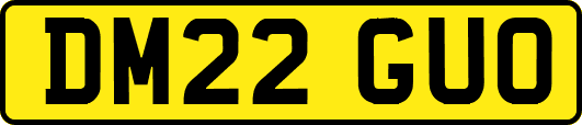 DM22GUO