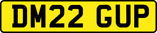 DM22GUP