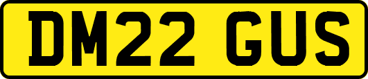 DM22GUS