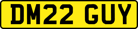 DM22GUY