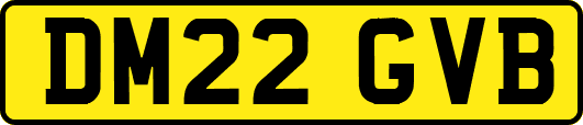 DM22GVB