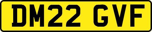DM22GVF