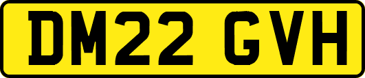 DM22GVH