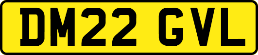 DM22GVL