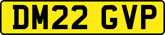 DM22GVP