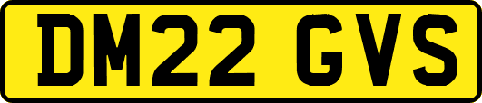 DM22GVS
