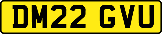 DM22GVU
