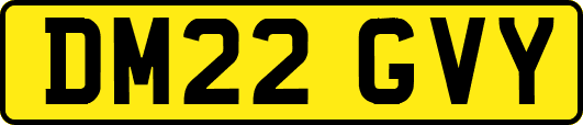 DM22GVY
