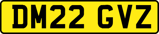DM22GVZ