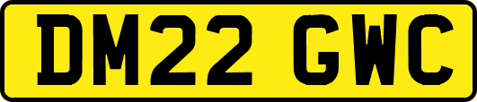 DM22GWC