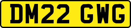 DM22GWG