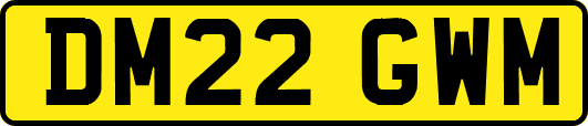 DM22GWM
