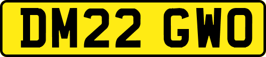 DM22GWO