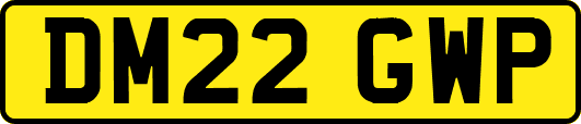 DM22GWP