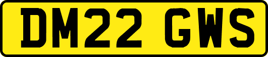 DM22GWS