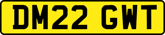 DM22GWT