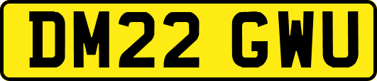 DM22GWU