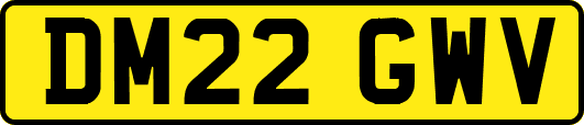 DM22GWV