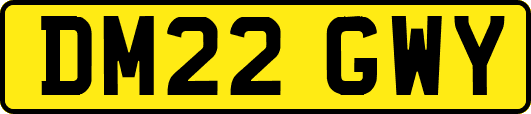 DM22GWY