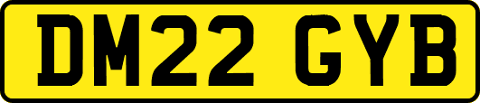 DM22GYB