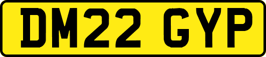 DM22GYP