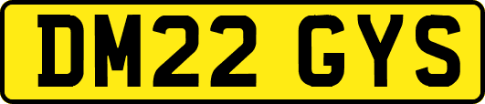 DM22GYS