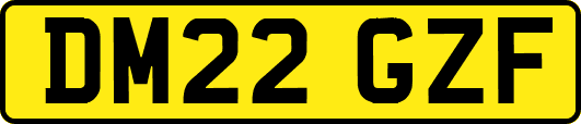 DM22GZF