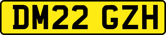DM22GZH