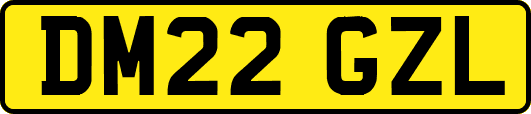 DM22GZL