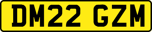 DM22GZM