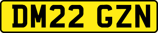 DM22GZN