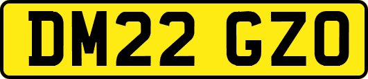 DM22GZO