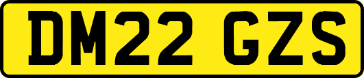 DM22GZS