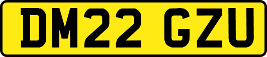 DM22GZU