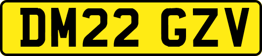 DM22GZV