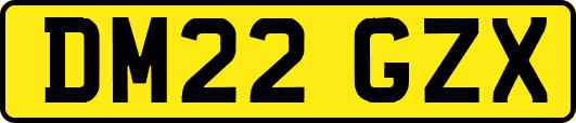 DM22GZX
