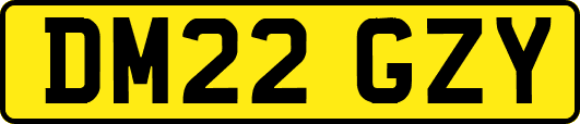 DM22GZY
