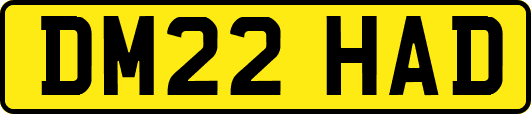 DM22HAD