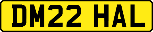 DM22HAL