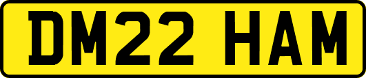 DM22HAM