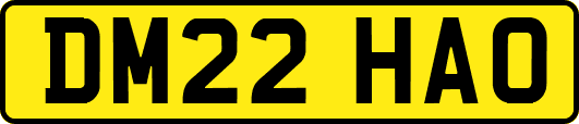 DM22HAO
