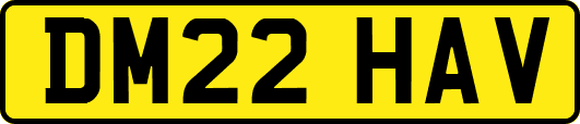 DM22HAV