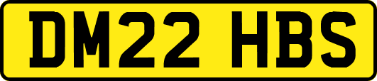 DM22HBS